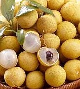 Longan Tree- Nhan