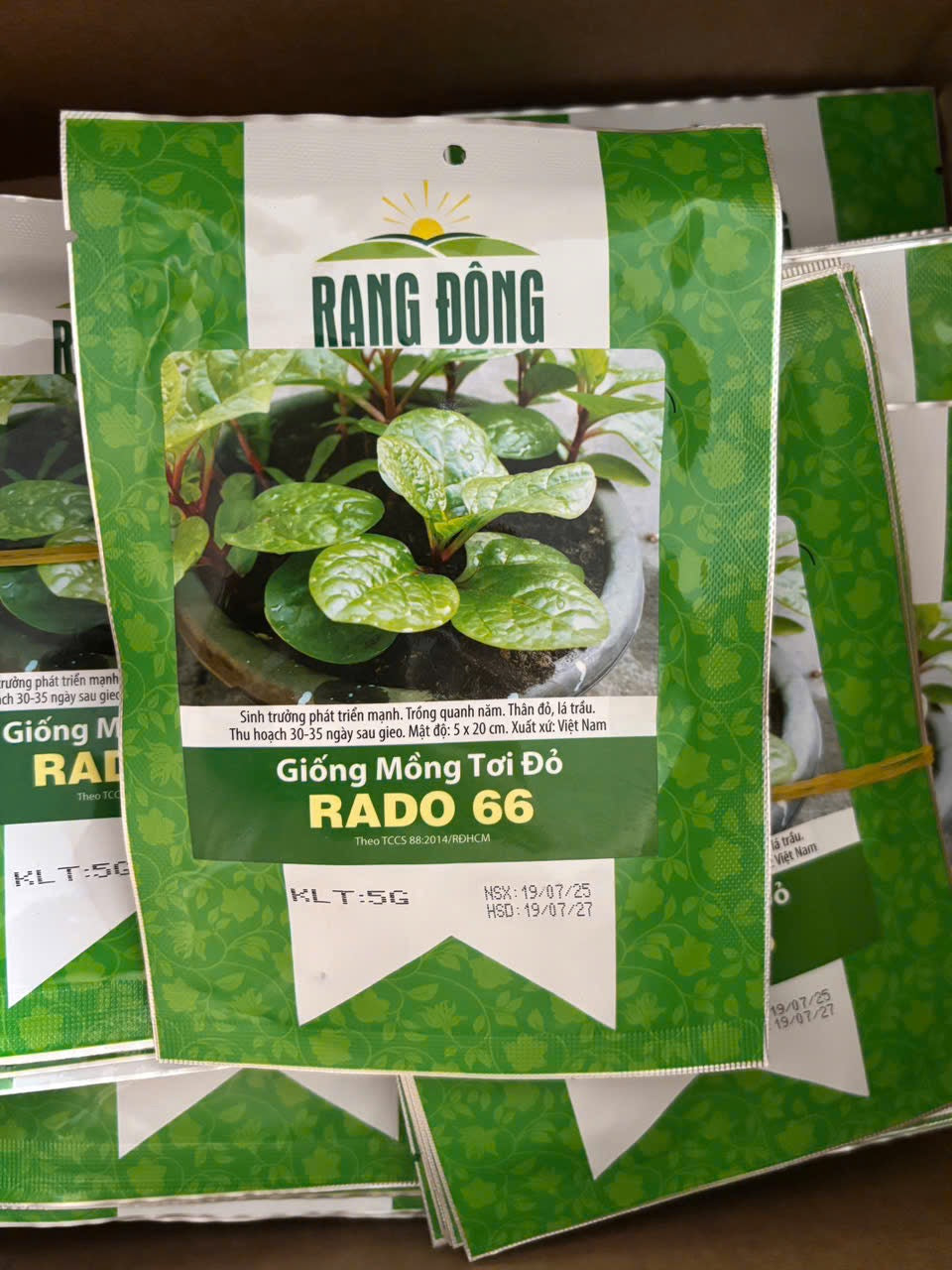 Mồng tơi đỏ-5g-Red Malabar Spinach