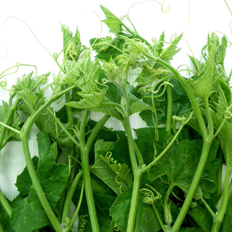 Bí siêu ngọn-10g-Baby Squash Tips