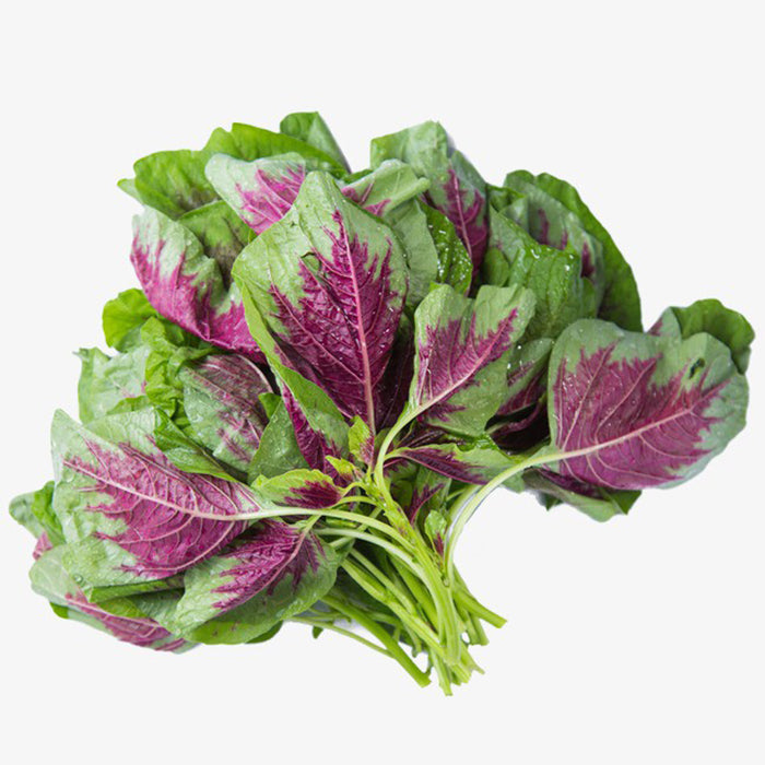 Rau dền tía-20g-Purple Amaranth