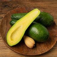 Russell Avocado Tree- Bo Co Dai