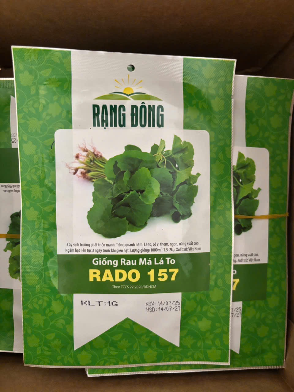 Rau má lá to-1g- Pennywort Seeds, Gotu Kola , Centella asiatica seeds