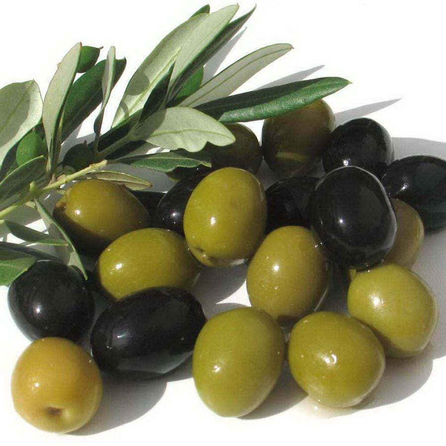 Olive tree- Cay O liu