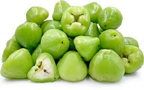 Red Wax Jambu Tree