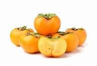 Fuyu Persimmon Tree- 5gallon- Hong Gion