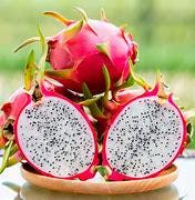 Dragon Fruit Tree- Thanh Long