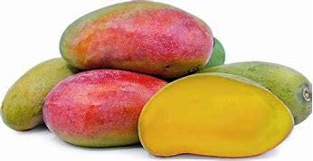Valencia Pride Mango Tree- Xoai