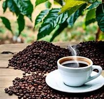 Coffee Tree - Cay Cafe