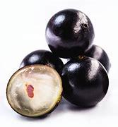 Jaboticaba Fruit Tree- Nho Than Go
