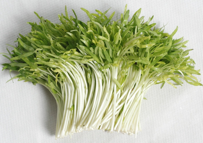 Mầm rau muống-50g-Water Spinach Sprouts