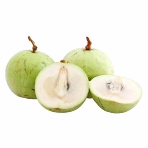 Caimito Tree- Vu Sua