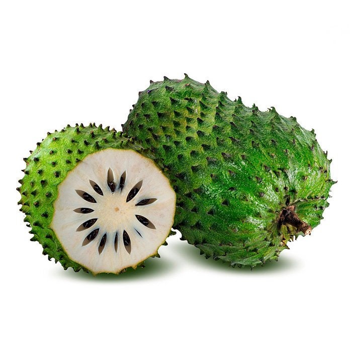 Soursop Tree - Mang Cau Xiem