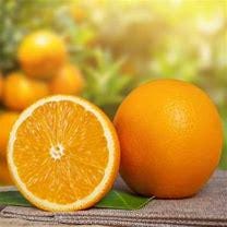 Vernia Orange Tree