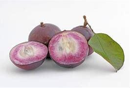 Caimito Tree- Vu Sua