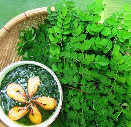 Rau chùm ngây-10 hạt-Moringa