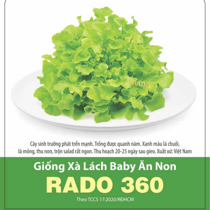 Xà lách baby-10g-Baby Lettuce