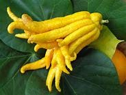 Budda Hand Tree- Cay Phat Thu