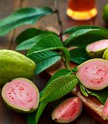 Ruby Supreme Guava Tree- Oi Do