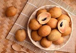 Sapodilla Tree - 5 gallon