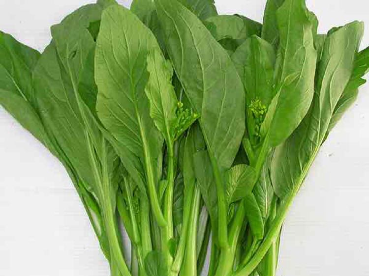 Cải ngọt-20g-sweet cabbage/ yu choy seeds