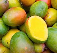 Mango Tree- Carrie Mango- Xoai