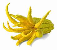 Budda Hand Tree- Cay Phat Thu