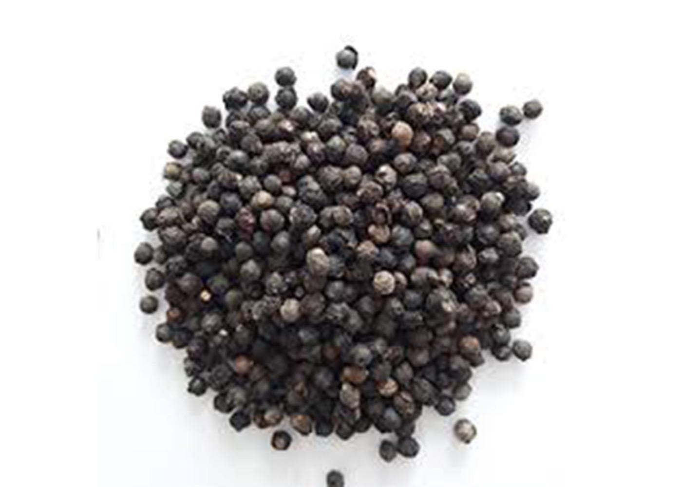 hạt giống mồng tơi-Malabar Spinach Seeds- Big Round Leaf-seeds only