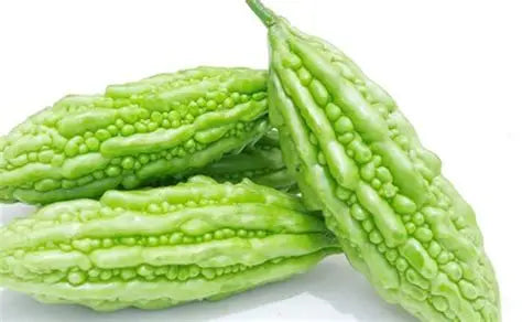 Khổ qua lai F1- rado 316- F1 Hybrid long Bitter Melon seeds-2g