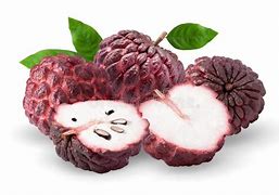Red Sugar Apple- Mang Cau Do
