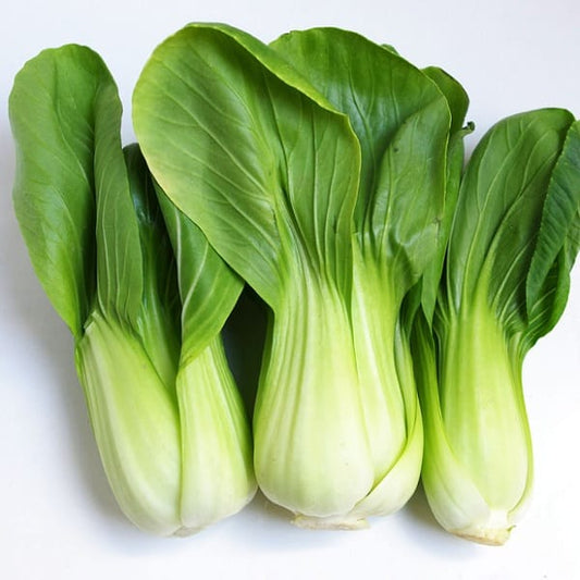 Cải thìa-20g-Bok choy