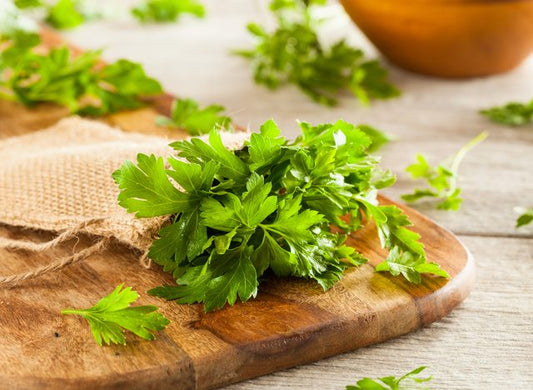 Ngò tây-2g-Parsley
