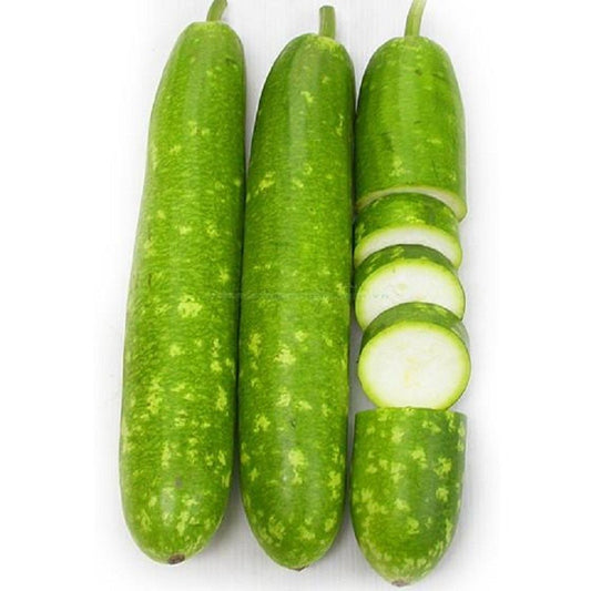 Bầu lai f1-10 hạt-F1 Hybrid Calabash Gourd