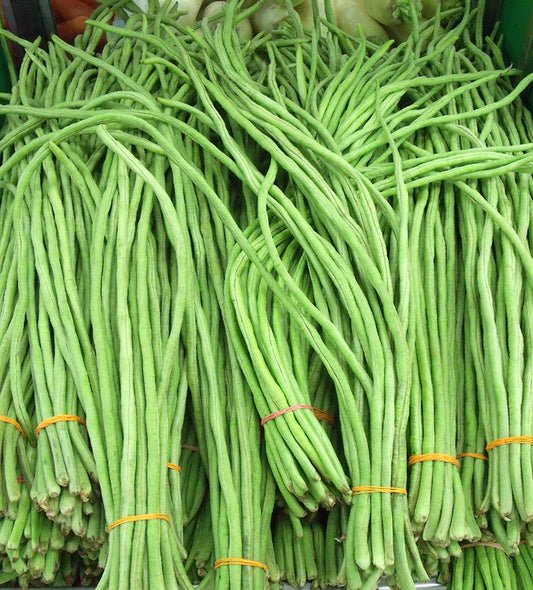 Đậu đũa hạt trắng-10g-White-seeded yardlong bean