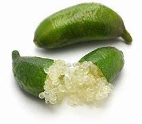 Green Finger Lime Tree- GRAFTED - 2 Feet Tall - Ready to Grow