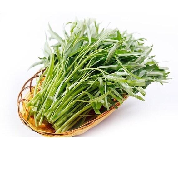 hạt giống rau muống-water spinach seeds- 50g