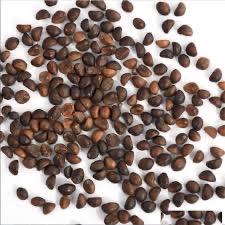 hạt giống rau muống-water spinach seeds- 50g