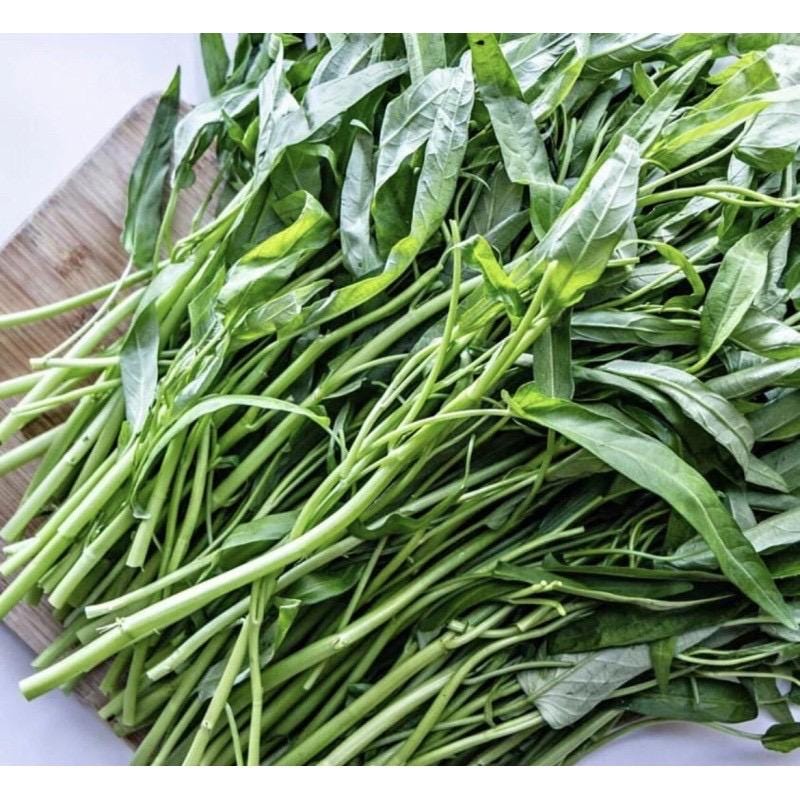 hạt giống rau muống-water spinach seeds- 50g