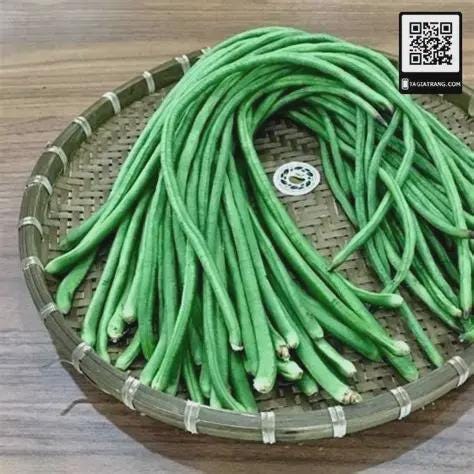 hạt giống đậu đũa hạt trắng- white long yard bean-10g - seeds only-