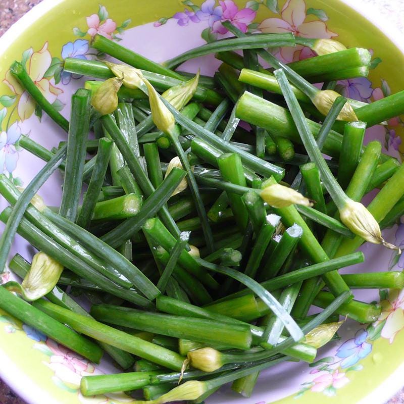 hạt giống hẹ ăn bông- garlic chives seeds-1g- seeds only- flowering chives