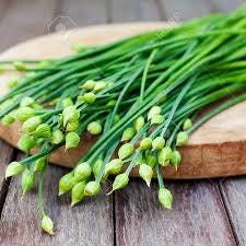 hạt giống hẹ ăn bông- garlic chives seeds-1g- seeds only- flowering chives