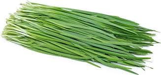 hạt giống hẹ-chives seeds-1g- seeds only- garden herbs- garlic chives