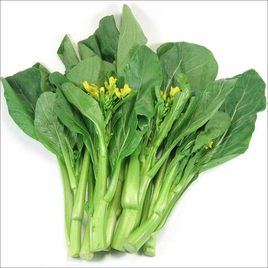 hạt giống Cải ngọt 20g- -cabbage/ yu choy seeds