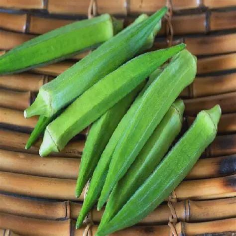 hạt giống Đậu bắp xanh lai f1-5g- Green okra seeds