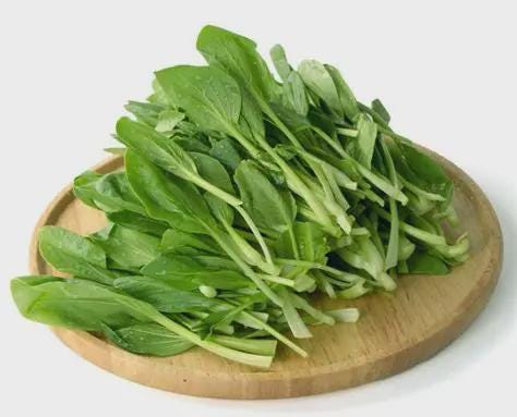 hạt giống Cải ngọt bông ăn non-20g-Baby Choy Sum seeds