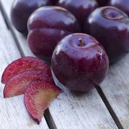 Plum Tree (Santa Rosa) - 3 Gal, 2-3 Feet | Sweet Fruit, Easy to Grow, Perfect for Home Gardens