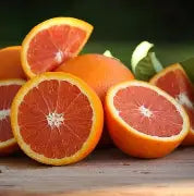 Red Navel Orange bush- AIR LAYERED-  1-2 ft Tall - citrus-sweet orange